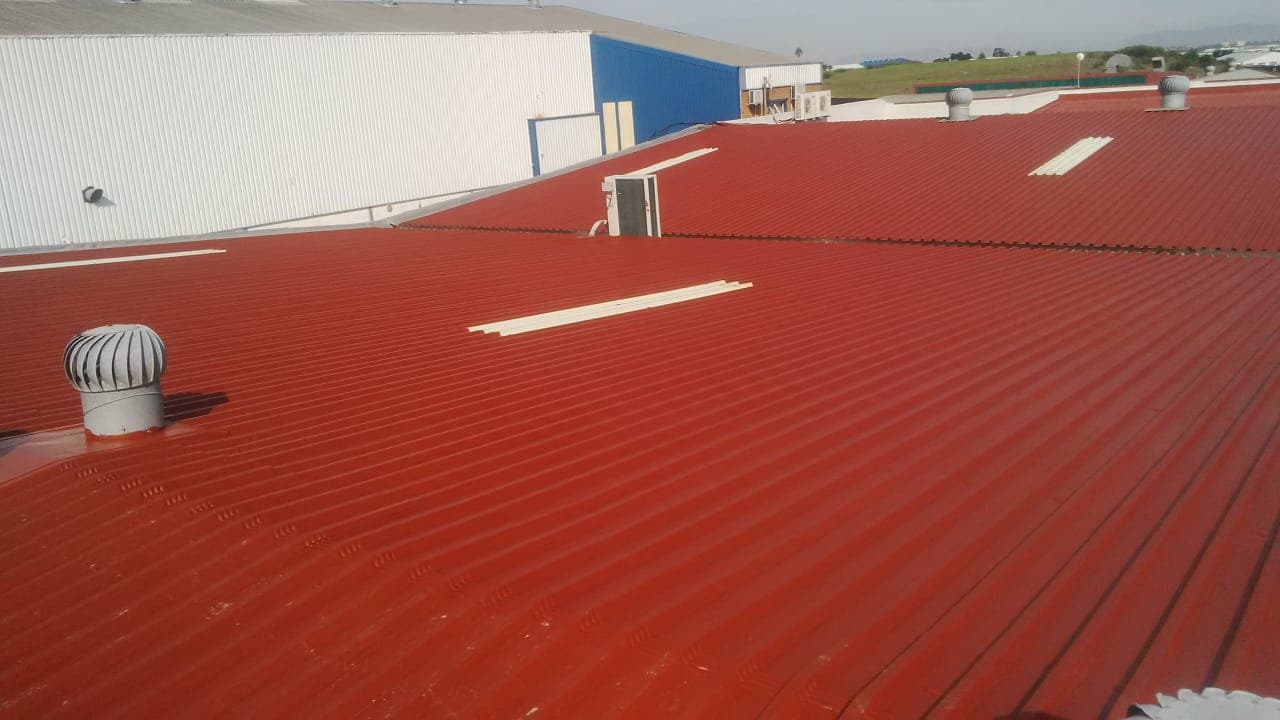 Roof Painting